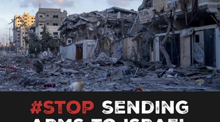 Gaza: cessate il fuoco e stop all'invio di armi